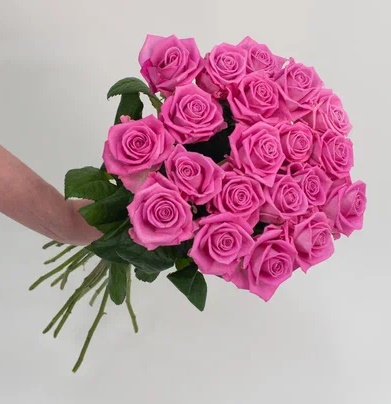 Розовые розы 50 см. 15 шт.